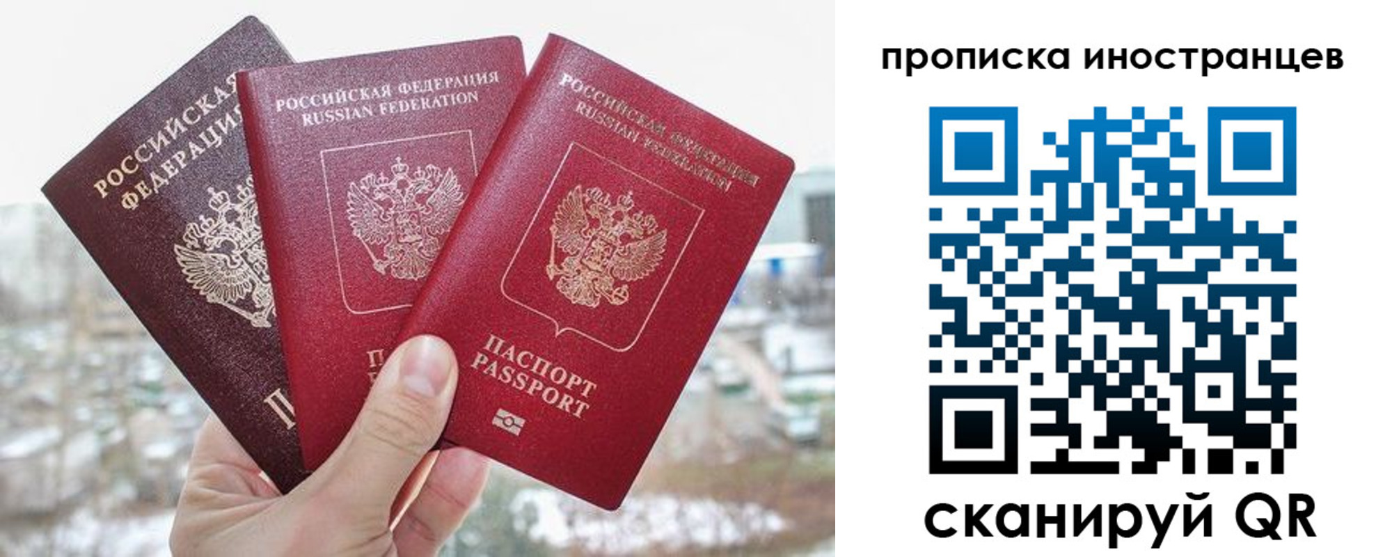 временная регистрация поиск в Ельне
